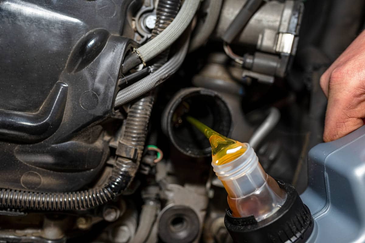 car mechanic pours new car oil into the engine fro 2023 11 27 04 49 52 utc(1)