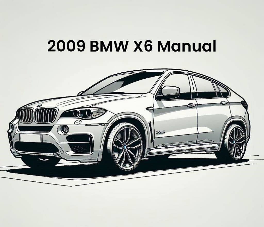 2009 bmw x6 manual