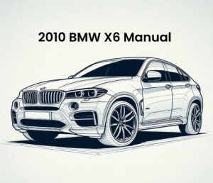 2010 bmw x6 manual