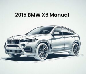 2015 bmw x6 manual