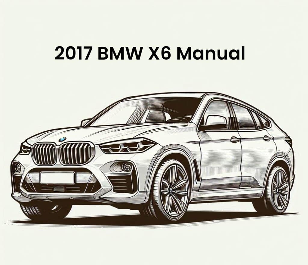 2017 bmw x6 manual